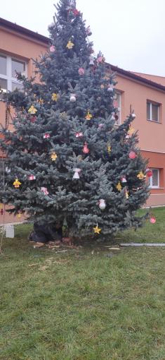 Ptenský vánoční strom